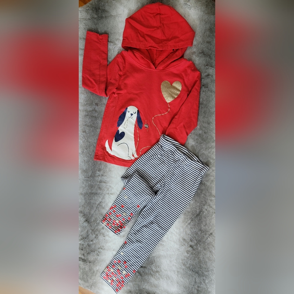 Girls 2 Piece Pullover Hoodie and Leggings Set - Size 5T